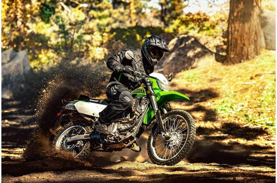 2021 Kawasaki KLX 300