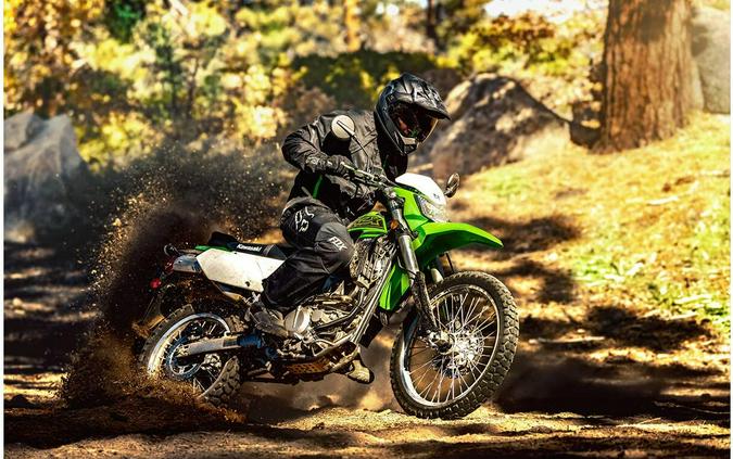 2021 Kawasaki KLX 300