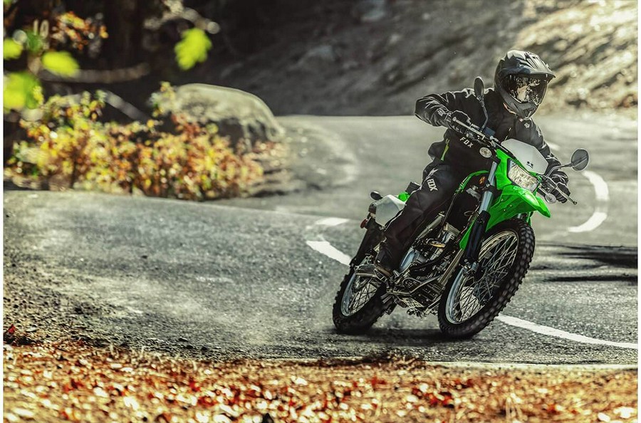 2021 Kawasaki KLX 300