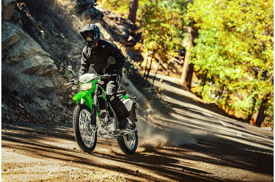 2021 Kawasaki KLX 300