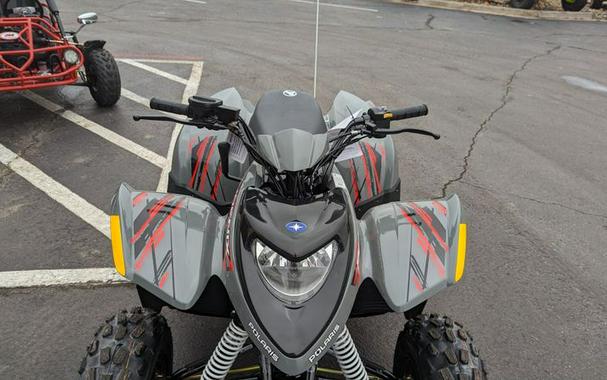 New 2024 POLARIS PHOENIX 200