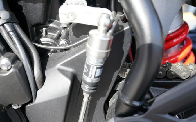 2024 Triumph Tiger 900 GT Pro