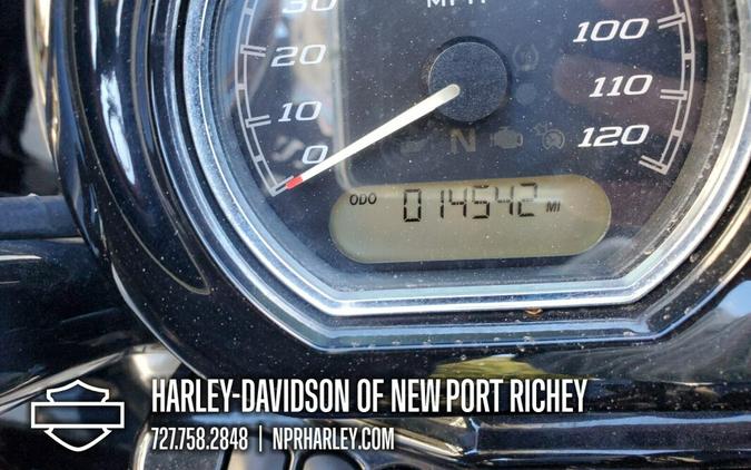 2019 Harley-Davidson® Road Glide® Special