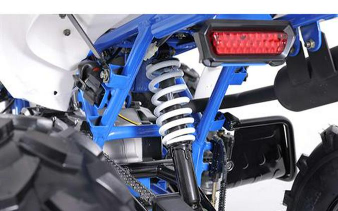 2025 Tao Motor Cheetah