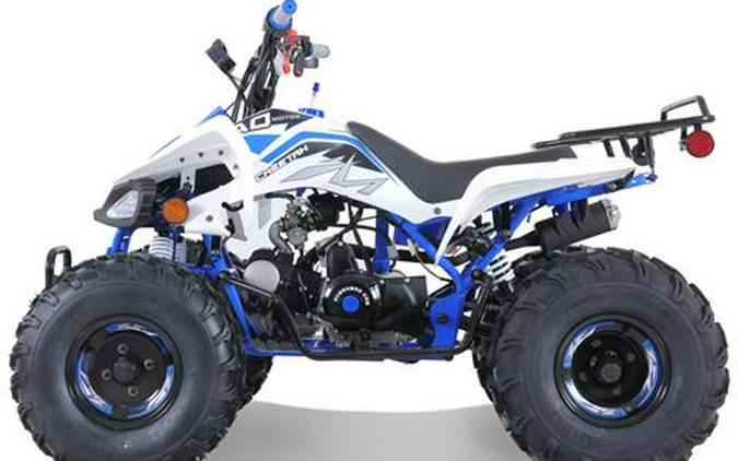 2025 Tao Motor Cheetah