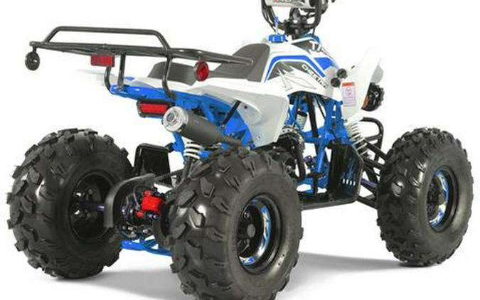 2025 Tao Motor Cheetah