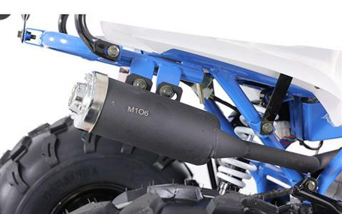 2025 Tao Motor Cheetah