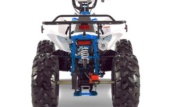 2025 Tao Motor Cheetah