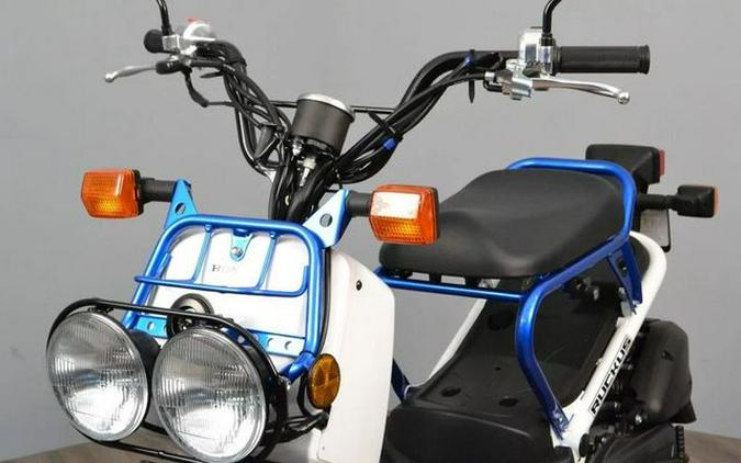 2023 Honda Ruckus