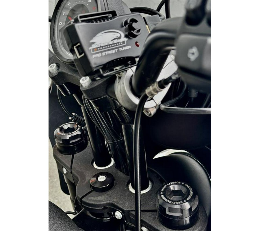 2022 Harley-Davidson Low Rider® S