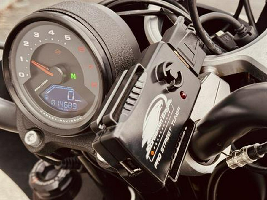 2022 Harley-Davidson Low Rider® S