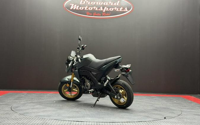 2025 Kawasaki Z125 PRO