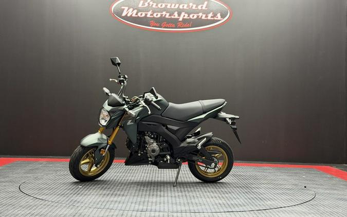 2025 Kawasaki Z125 PRO