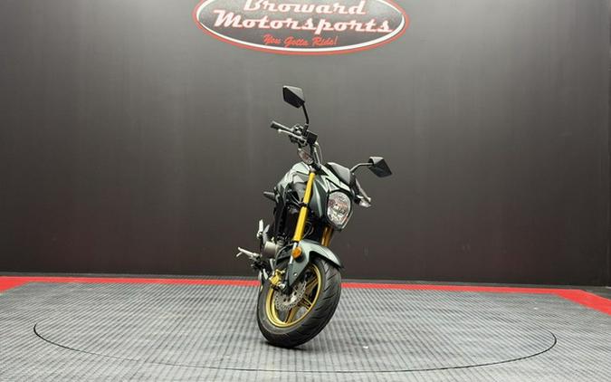 2025 Kawasaki Z125 PRO