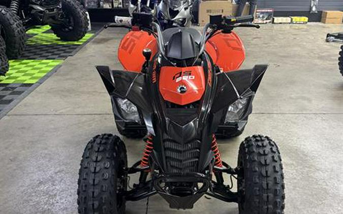 2026 Can-Am DS 250