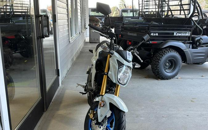 2026 Kawasaki Z125 PRO