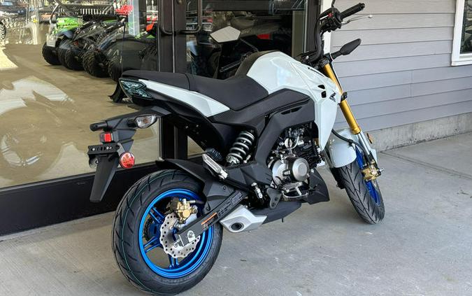 2026 Kawasaki Z125 PRO
