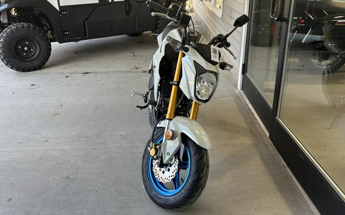 2026 Kawasaki Z125 PRO