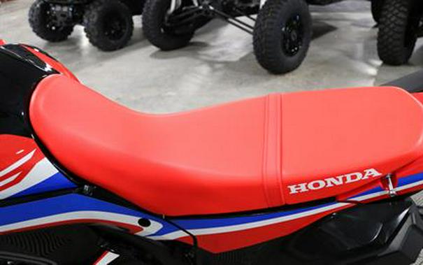 2023 Honda CRF300L Rally ABS