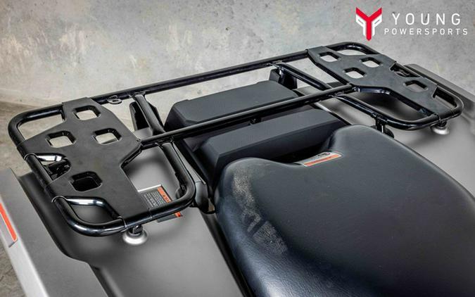 2026 Honda FourTrax Rubicon 700 4x4 Automatic Matte Silver 700 4x4 Automatic