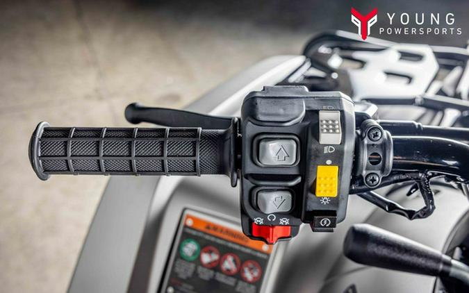 2026 Honda FourTrax Rubicon 700 4x4 Automatic Matte Silver 700 4x4 Automatic