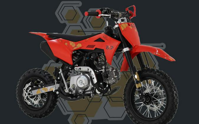 2026 BLP MOTOR V2 110