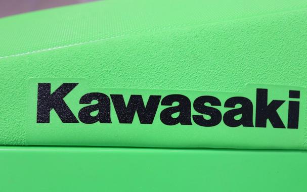 2024 Kawasaki KX 450X