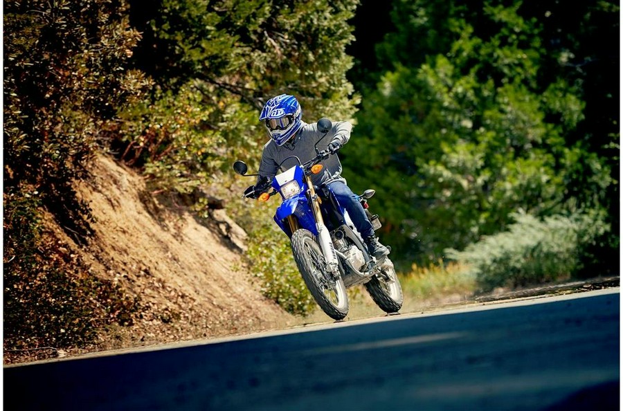 2020 Yamaha WR250R