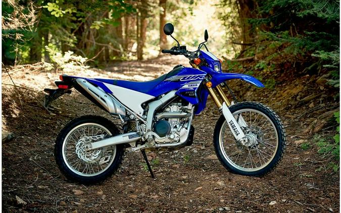 2020 Yamaha WR250R