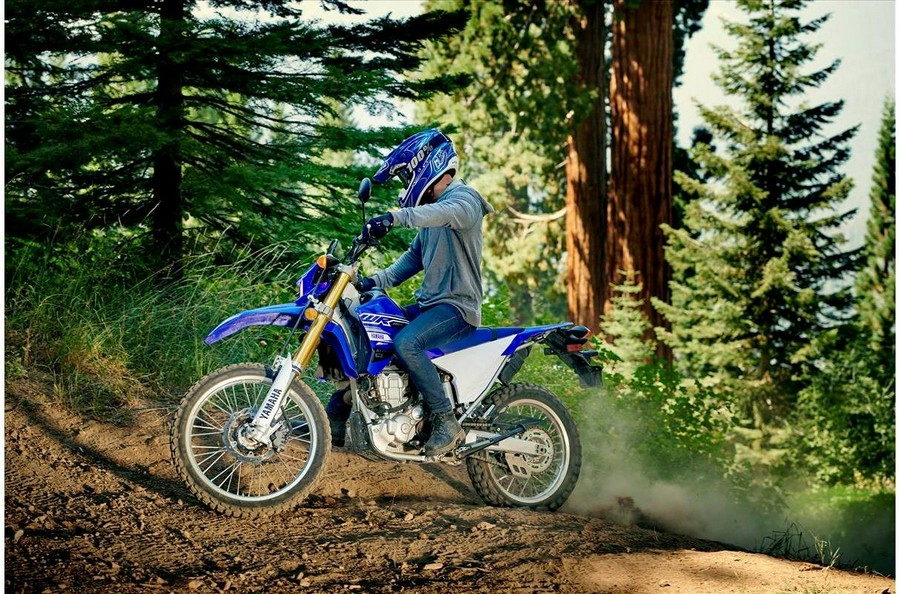 2020 Yamaha WR250R