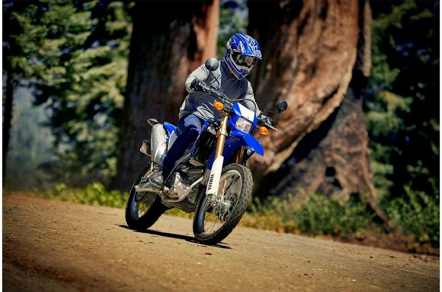 2020 Yamaha WR250R