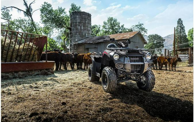 2023 Kawasaki Brute Force 300