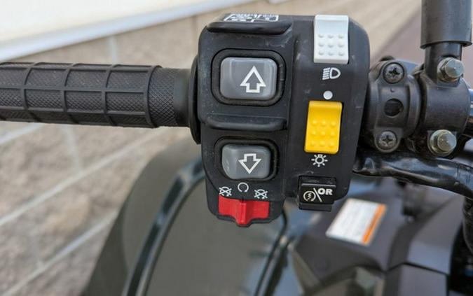 2024 Honda FourTrax Foreman Rubicon 4x4 Automatic DCT
