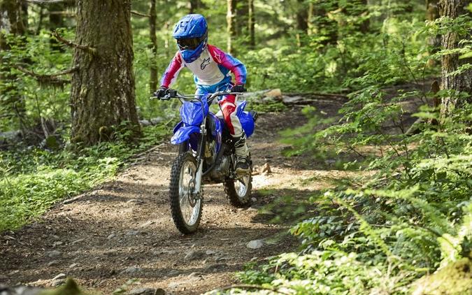 2026 YAMAHA TTR125LET1