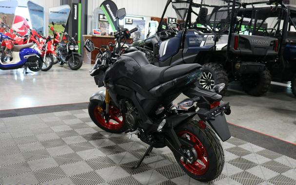 2024 Kawasaki Z125 Pro