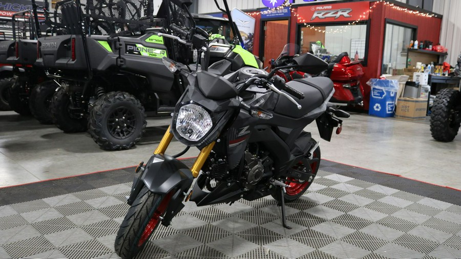 2024 Kawasaki Z125 Pro