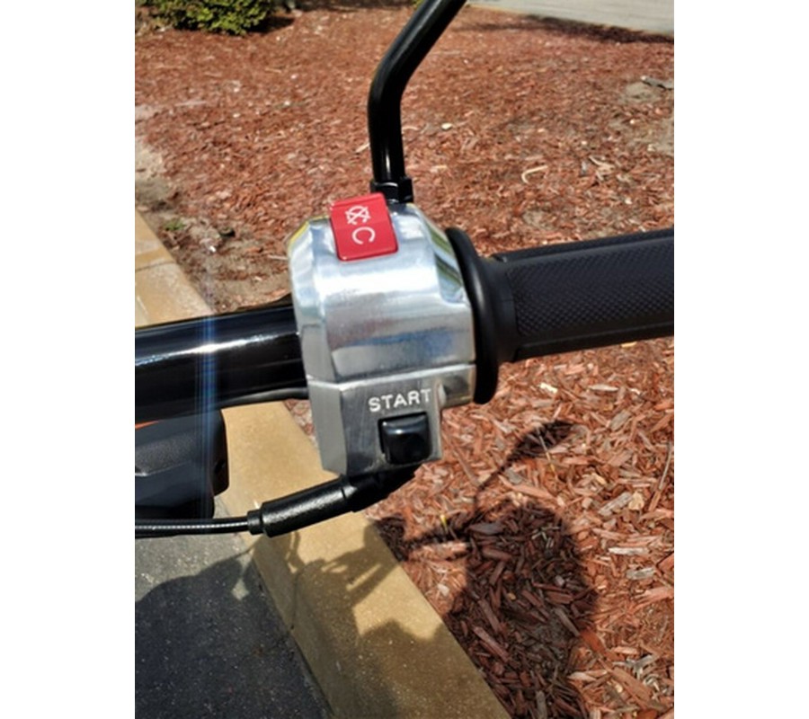 2022 Honda Ruckus