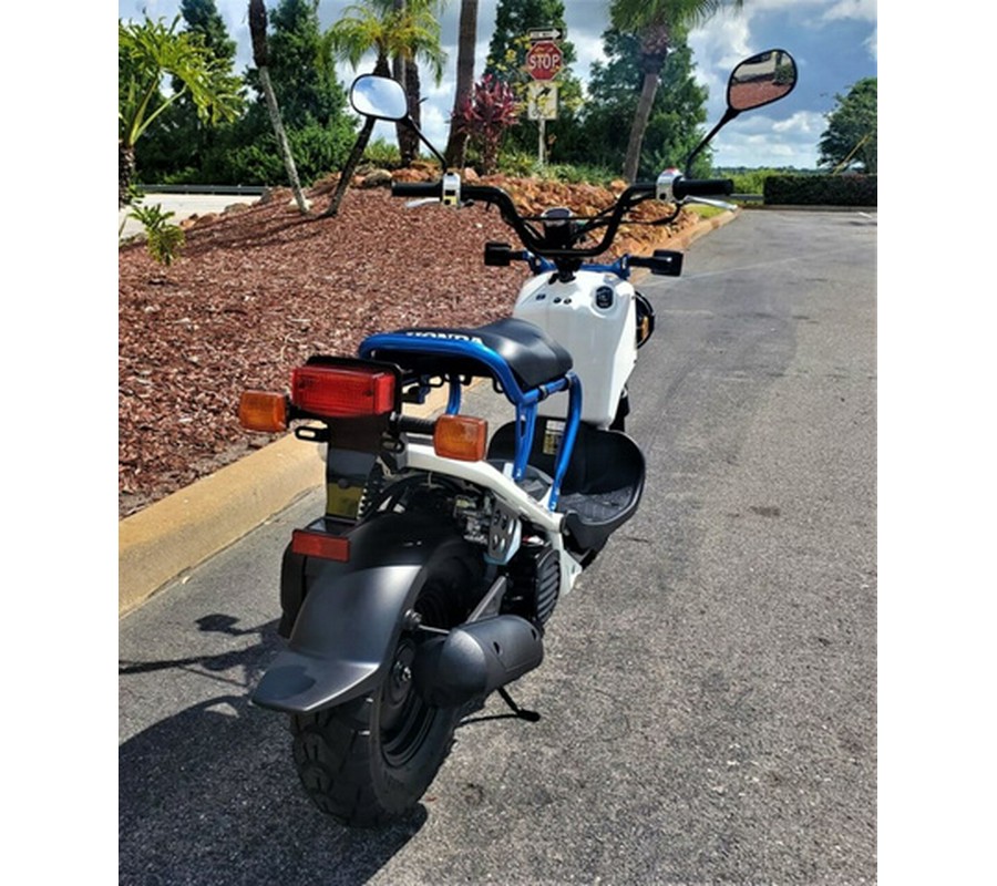 2022 Honda Ruckus