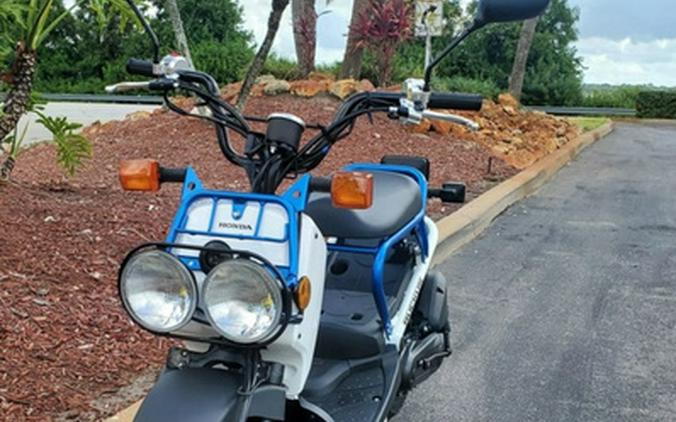 2022 Honda Ruckus