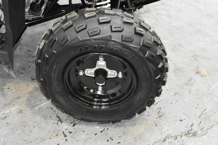 2025 Polaris PHOENIX 200