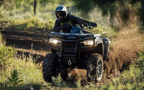 2027 Arctic Cat Off Road Alterra 600 Limited