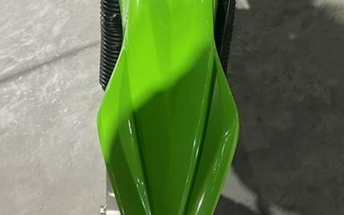 2023 Kawasaki KLX®230R S