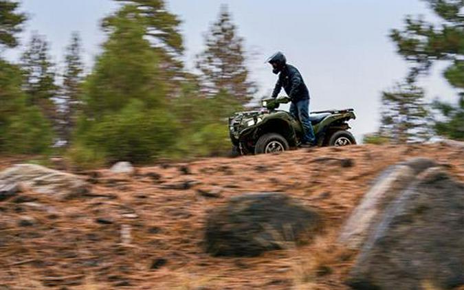 2026 Kawasaki Brute Force 750 SE EPS