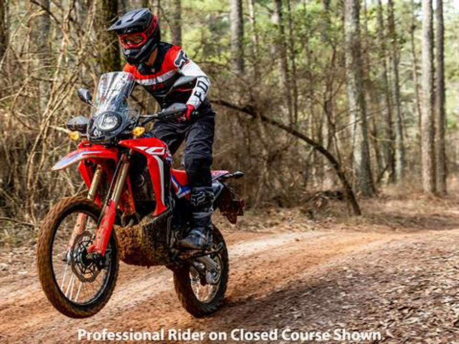 2023 Honda CRF300L Rally