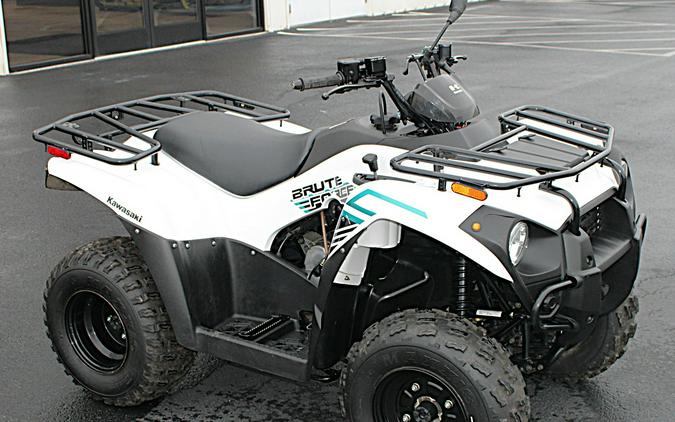 2021 Kawasaki Brute Force 300