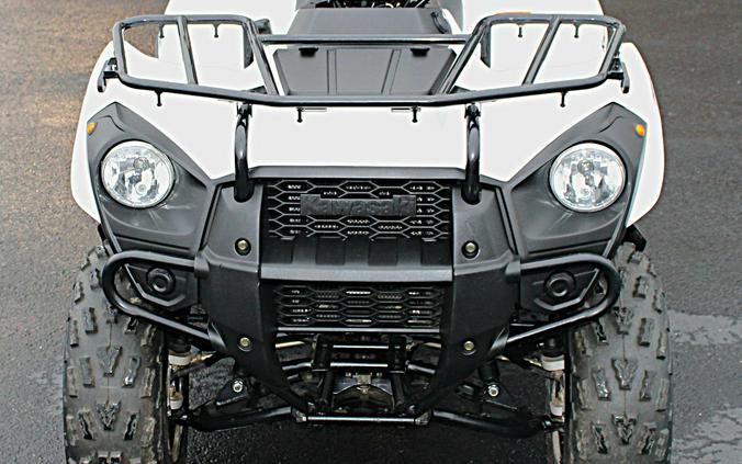 2021 Kawasaki Brute Force 300