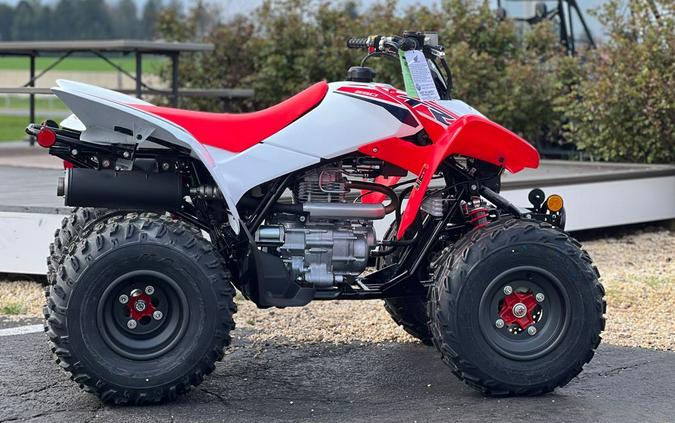 2024 Honda TRX250X