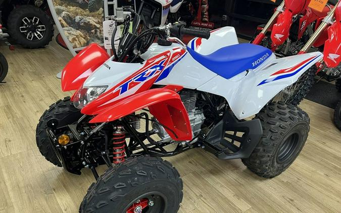 2026 Honda TRX 250X