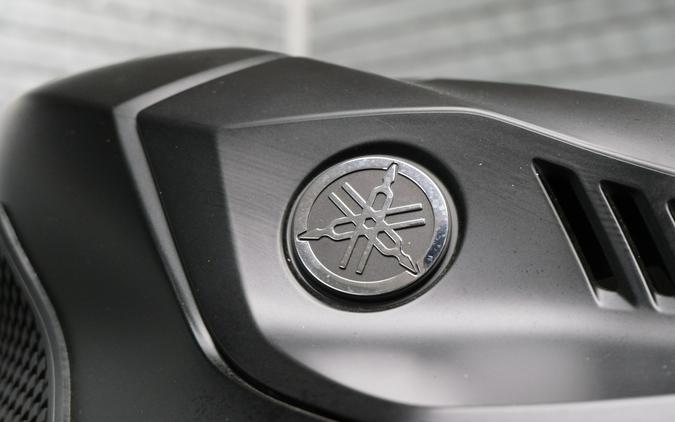 2025 YAMAHA YZFR3 ABS