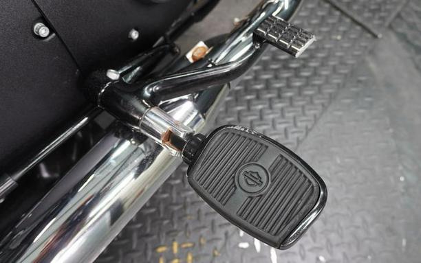 2019 Harley-Davidson® XL 883N - Sportster® Iron 883™